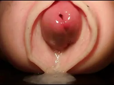سویٹ نوجوان ایک اچھا blowjob دیتا ہے اور بلی میں سخت راکٹ ہو جاتا ہے